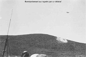 160 - ARMEE DE L'AIR EN ALGERIE 1945-1962-8 (55)